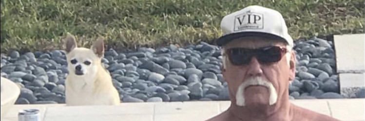 __samwiches's profile banner image