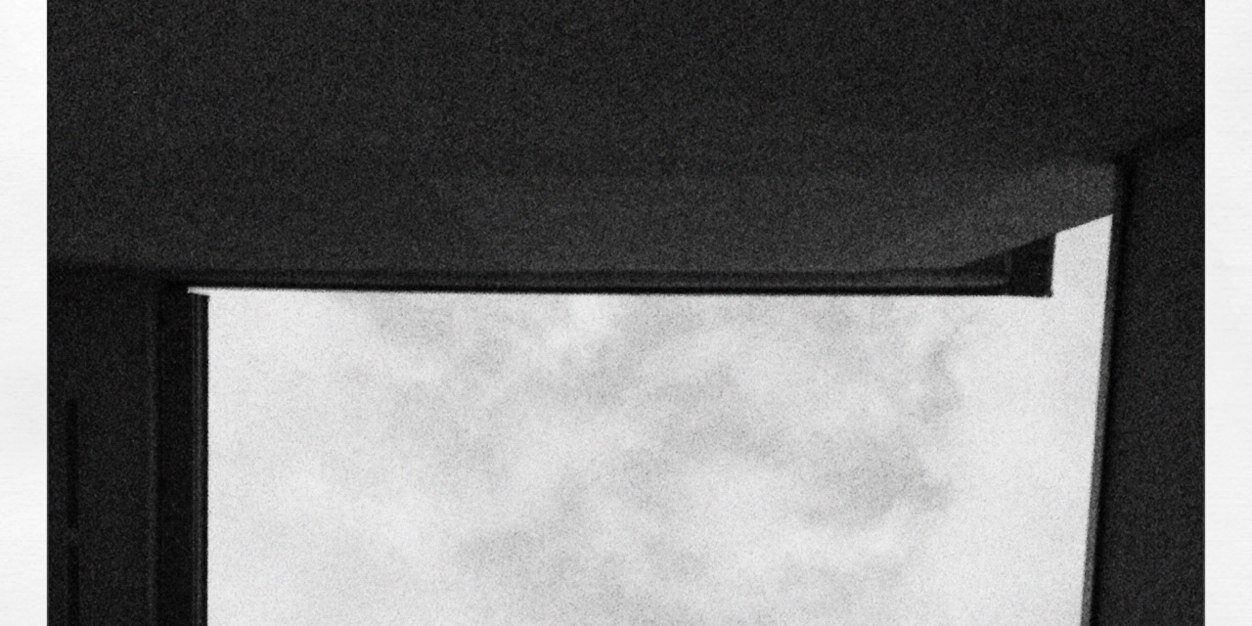 omoplatta banner