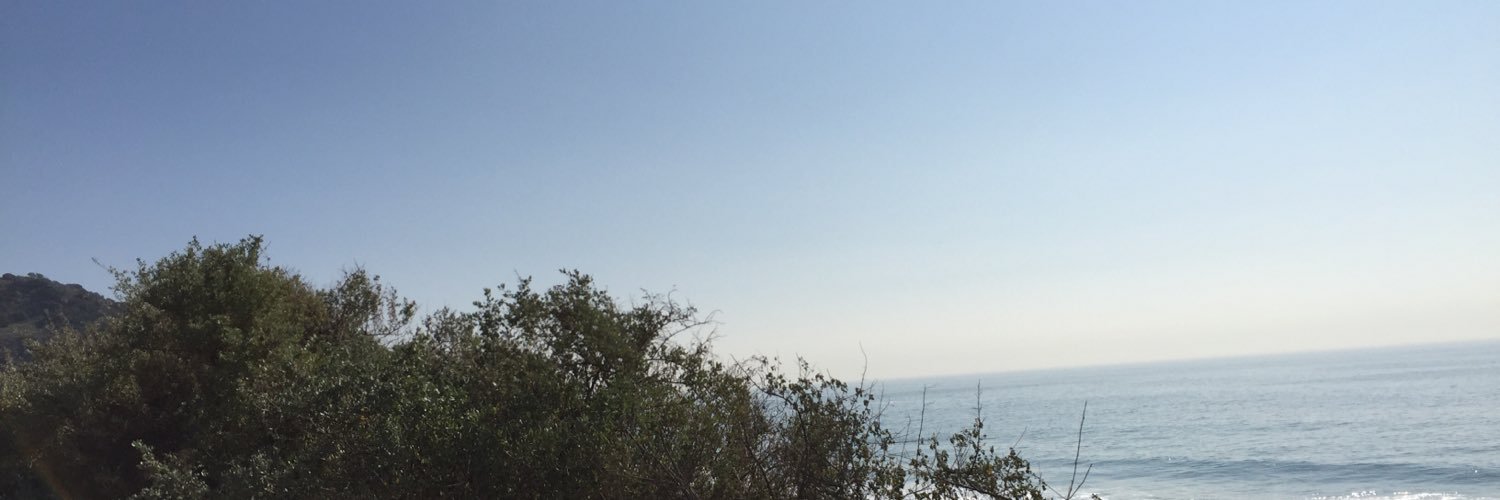 Kathy Haeffner banner