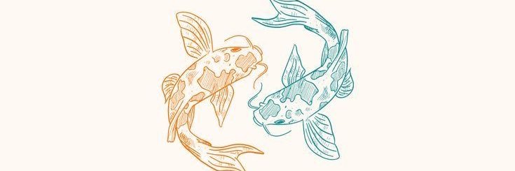 bMelissaRobles's profile banner image