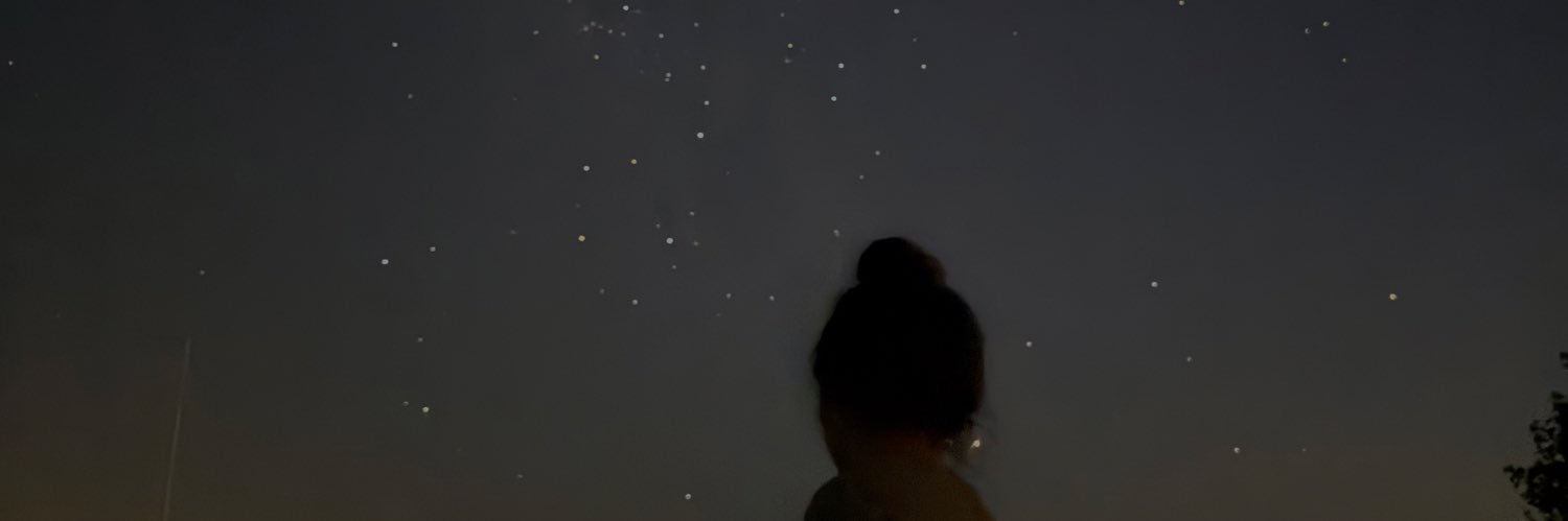 leiluisa_'s profile banner image