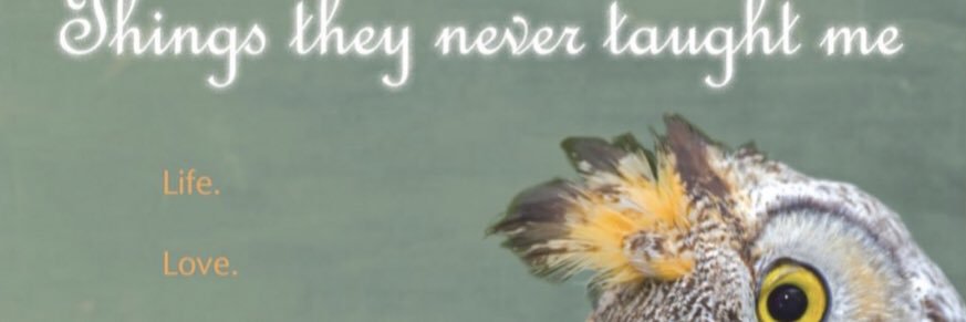 tompaulwheeler's profile banner image