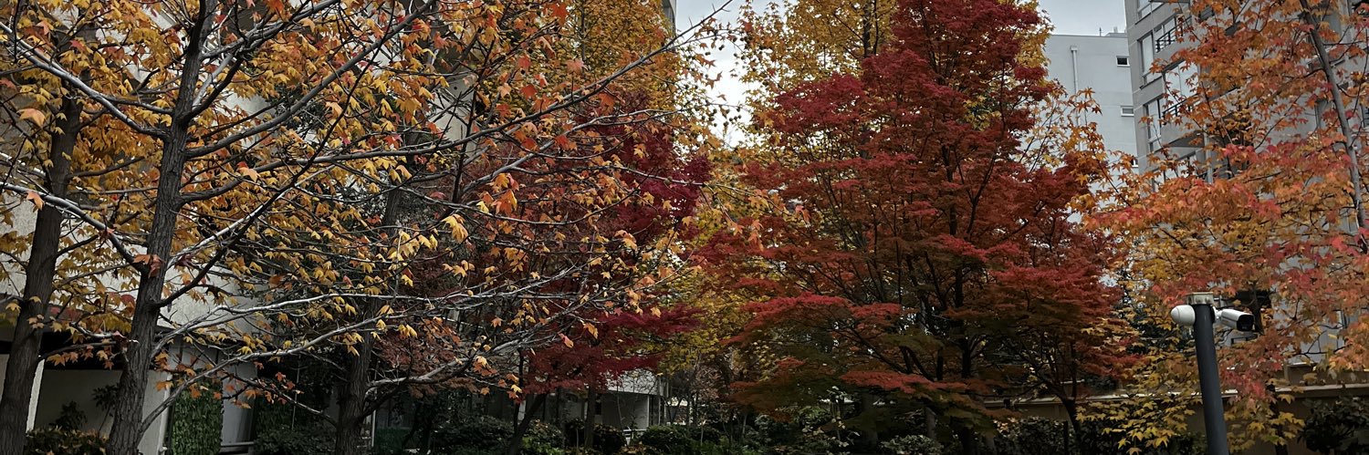 AlexandraOsman's profile banner image