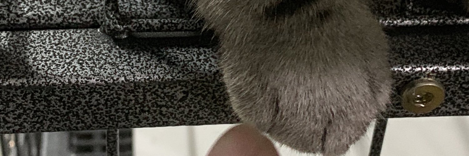 pleumpipat's profile banner image