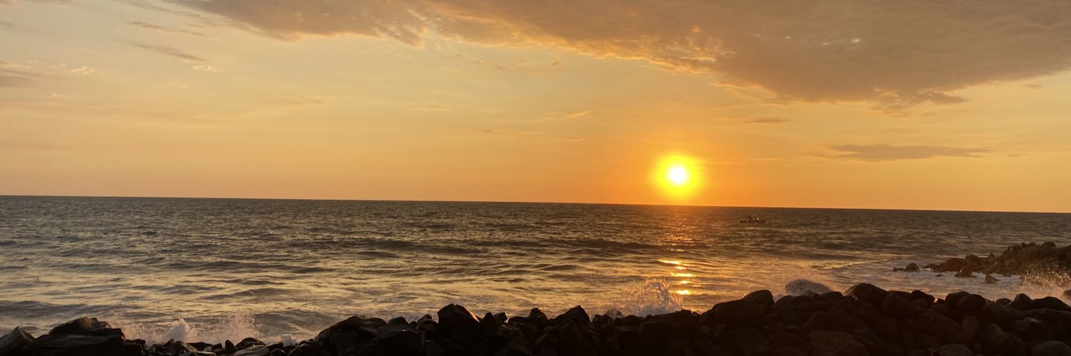 EleSiliceo's profile banner image
