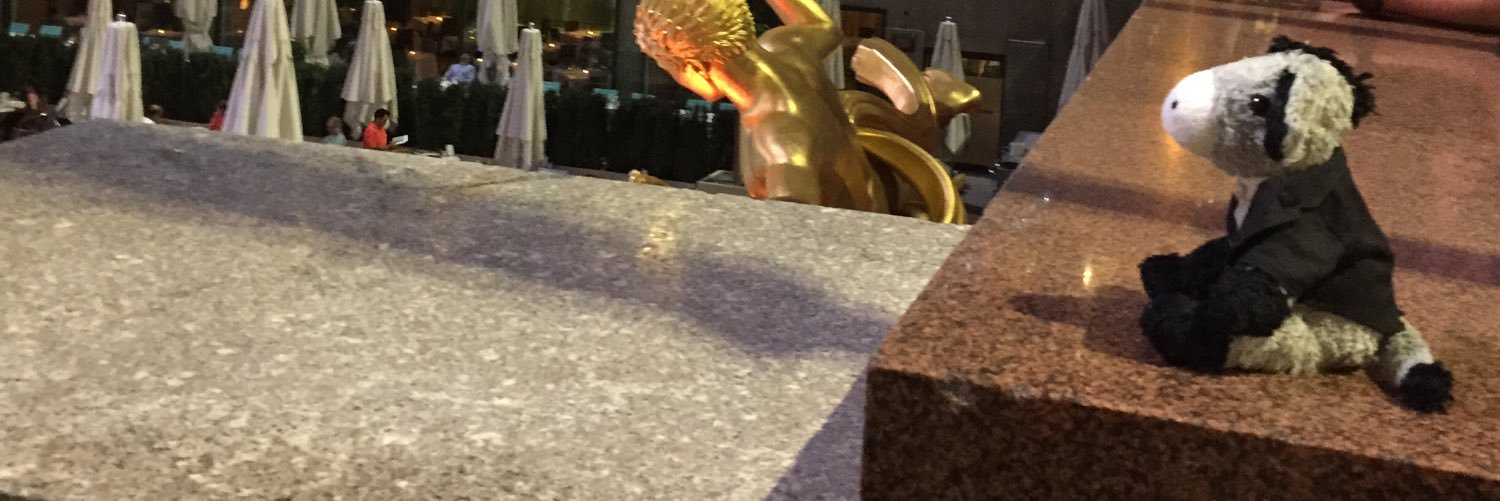 WonderBurro's profile banner image