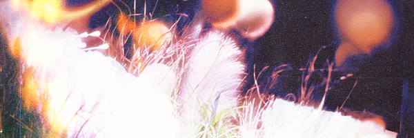 baamline Profile Banner