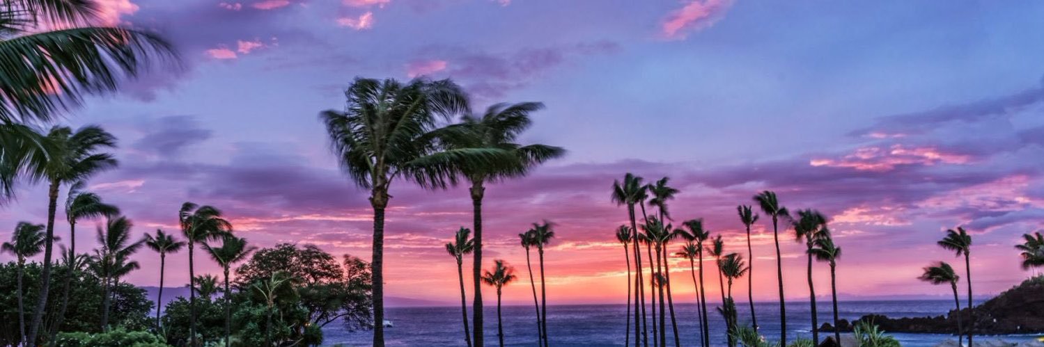 AlexTocho's profile banner image
