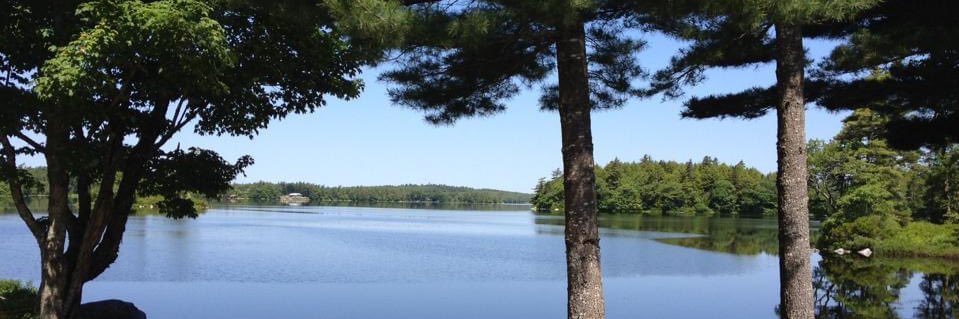 cher_bauer's profile banner image