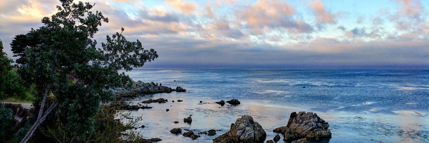 Paxson 🌿🐦🏳️‍🌈 banner