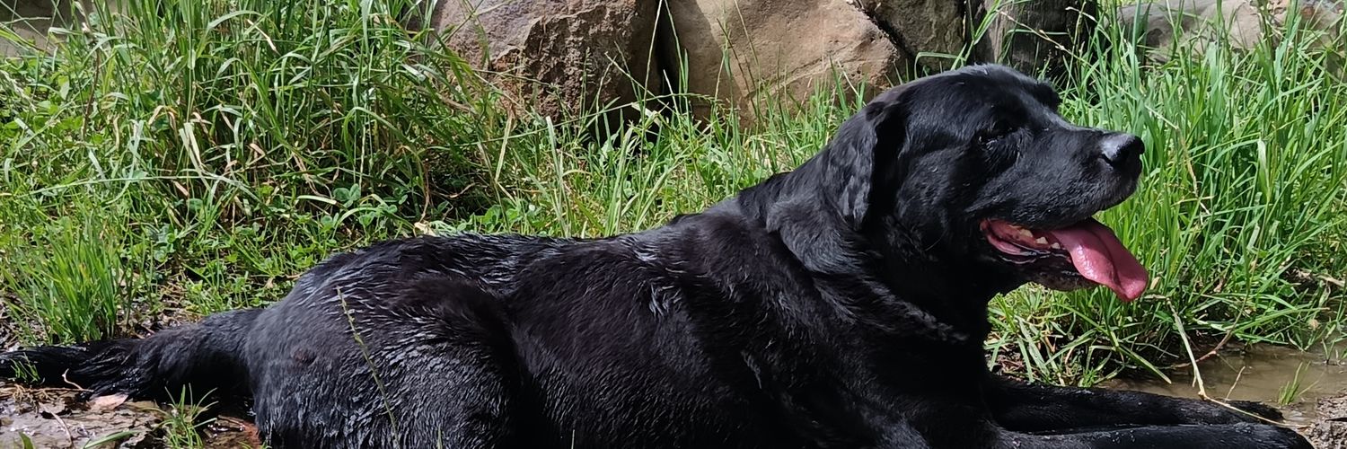 k_kamc's profile banner image