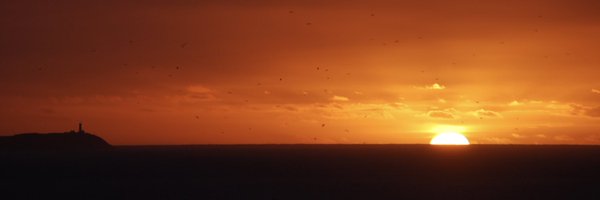 AlanMcC82 Profile Banner