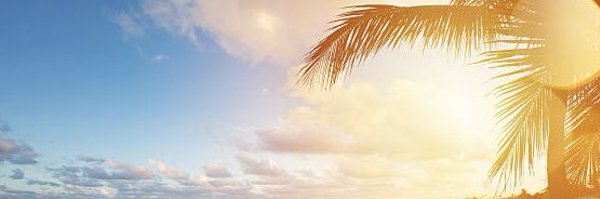 yazmincc20 Profile Banner