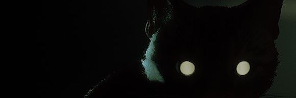 emeraldZombie's profile banner image