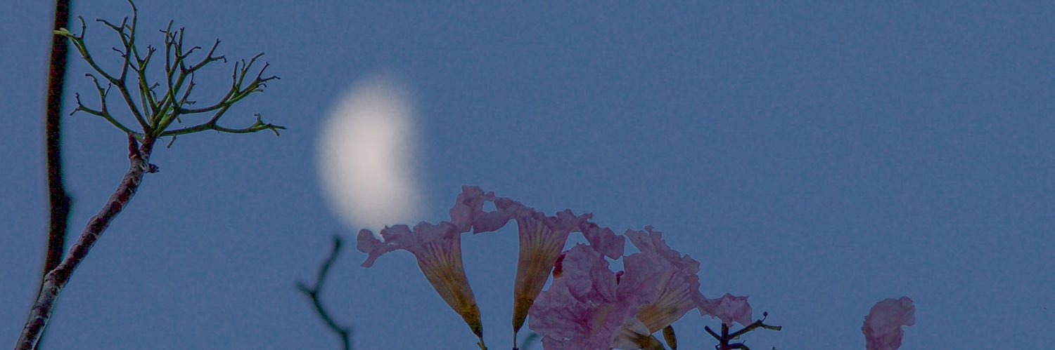 pppddu's profile banner image