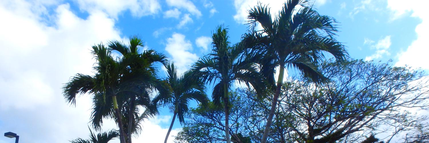 0212_r's profile banner image