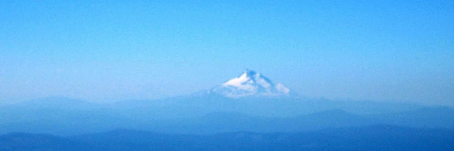 moosegut's profile banner image