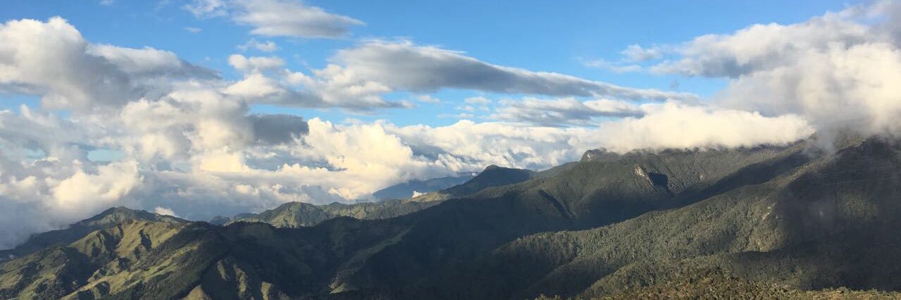 marioalejo98's profile banner image