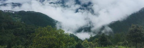ShrikalaKashyap Profile Banner