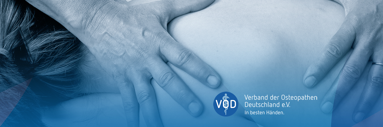 vodev's profile banner image