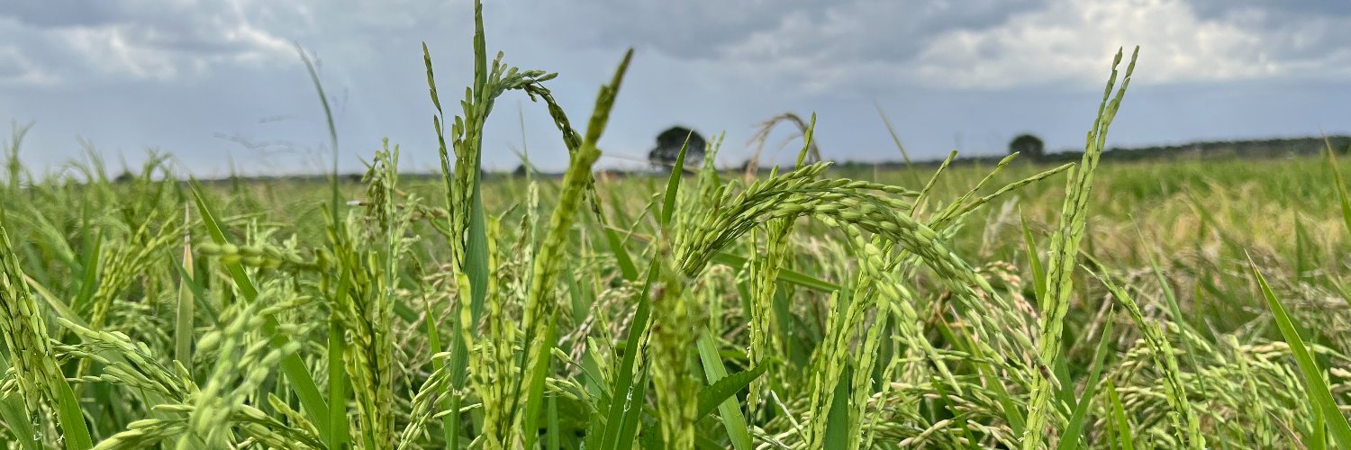 Muchiri Nyaggah banner
