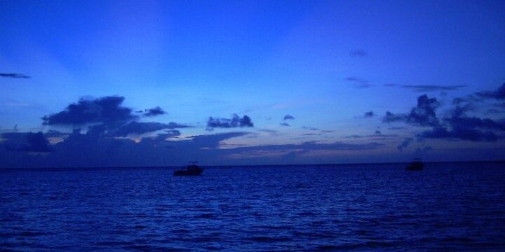 Ms. Cathy Alberth banner