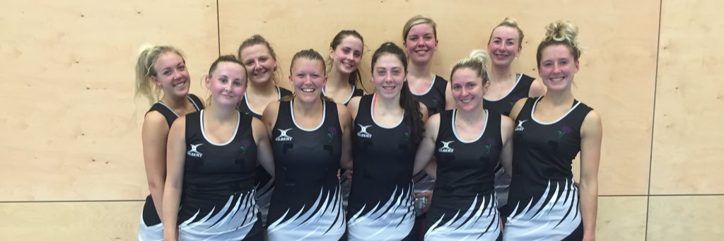 Silver Swifts banner