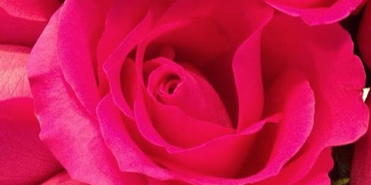 noemiiFs's profile banner image
