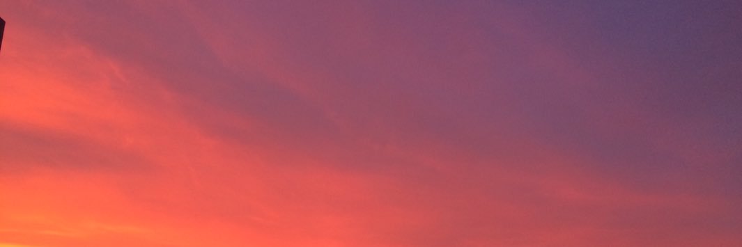 johnreiner5's profile banner image
