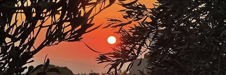 abernatth's profile banner image