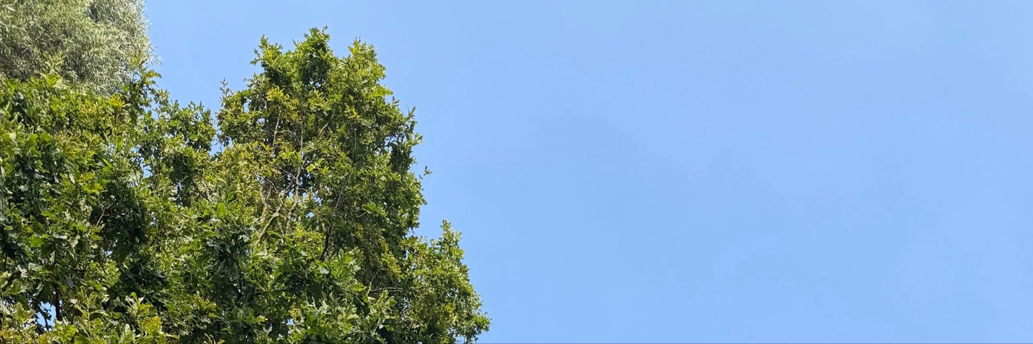 n__zeynepppp's profile banner image
