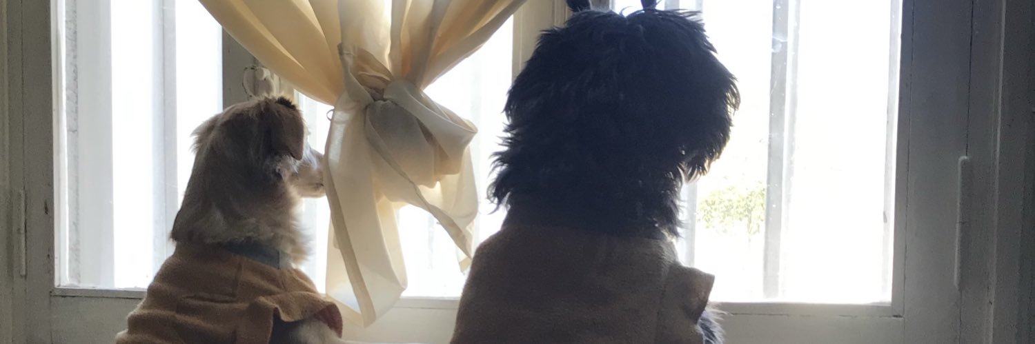 solangeaniceto's profile banner image