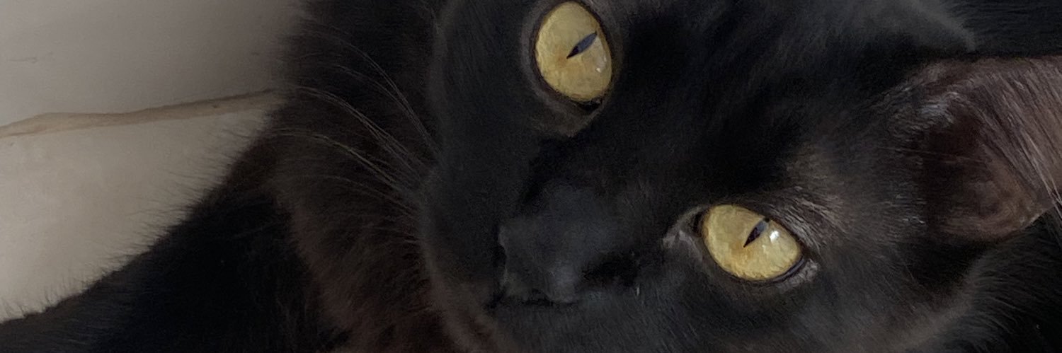 elismeirecf's profile banner image