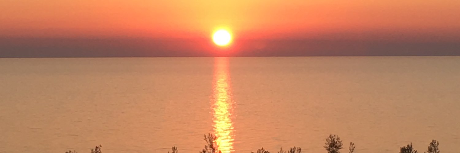 TraceyLynchh's profile banner image