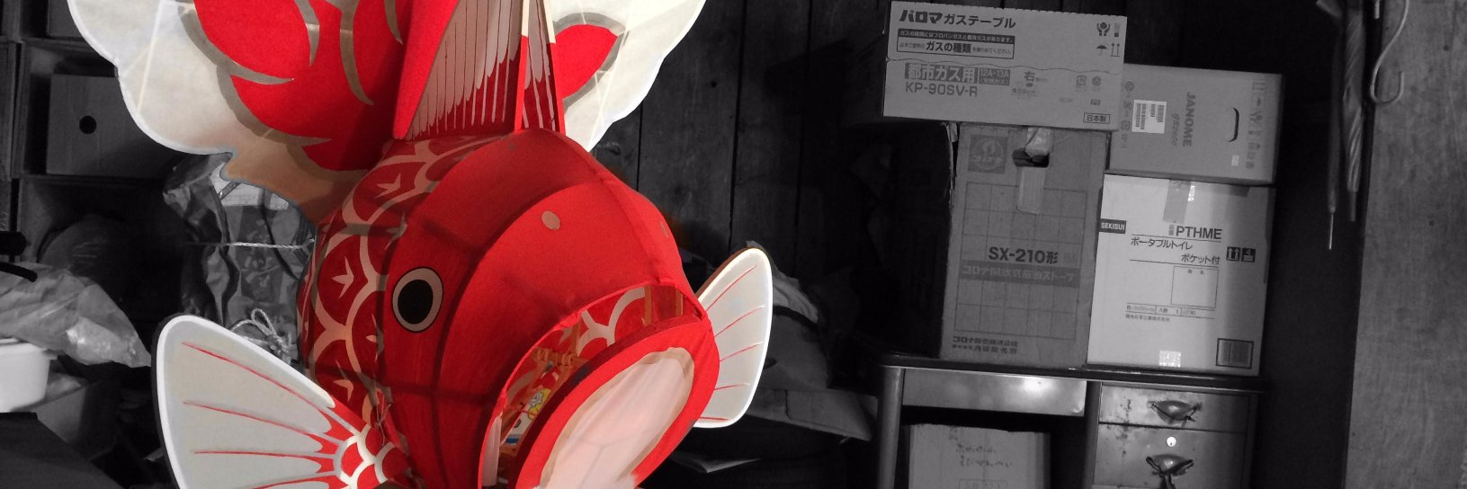 zwchr's profile banner image