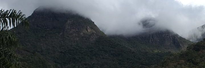 andrecateringer's profile banner image