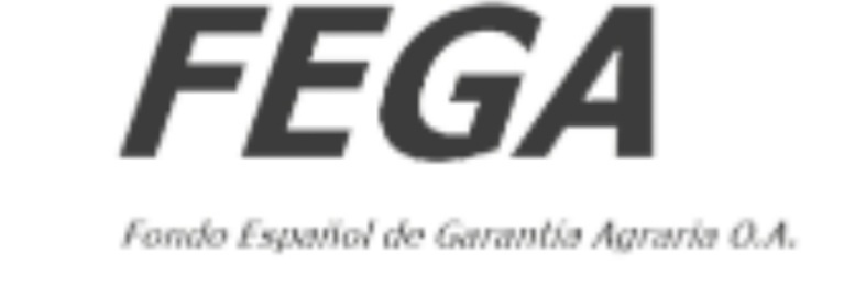 María José Hernández banner