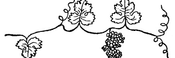 nilthosi's profile banner image