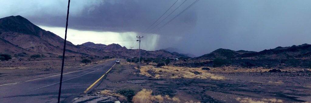 طقس ديار فهم ⛈ banner