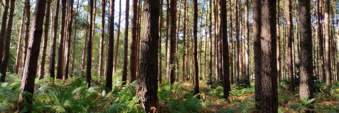 Unseen Crafts banner