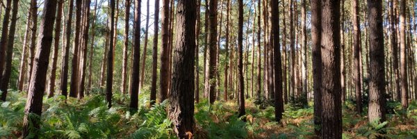 tygeroo Profile Banner