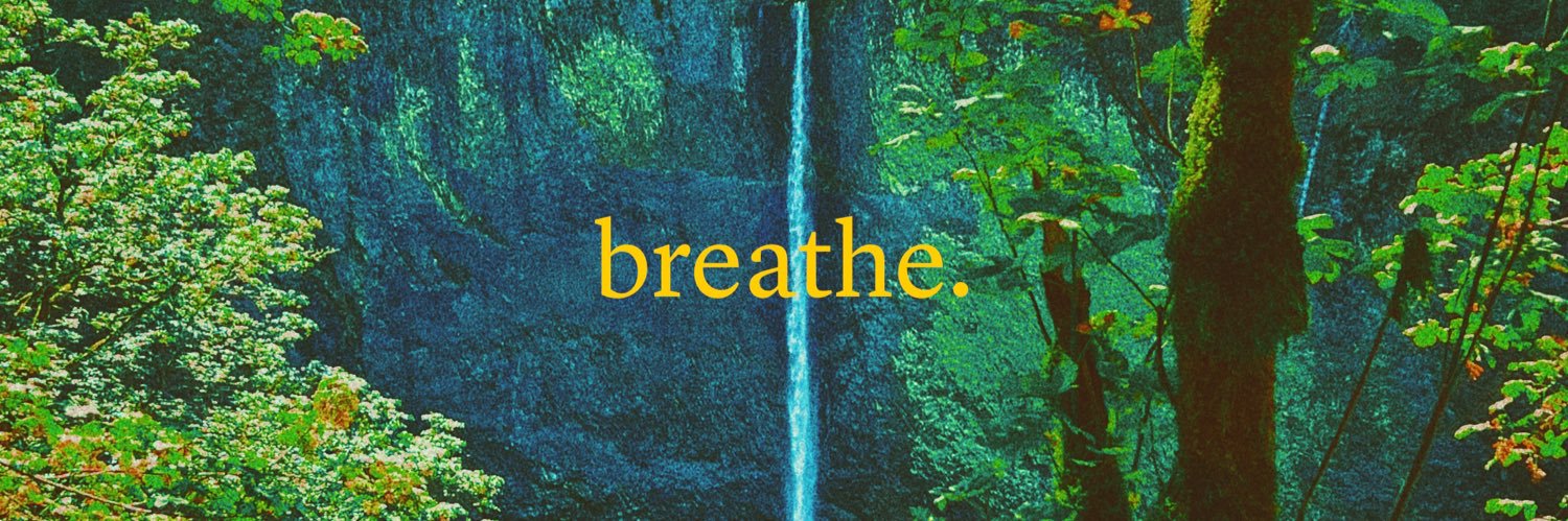 Armando Torres banner