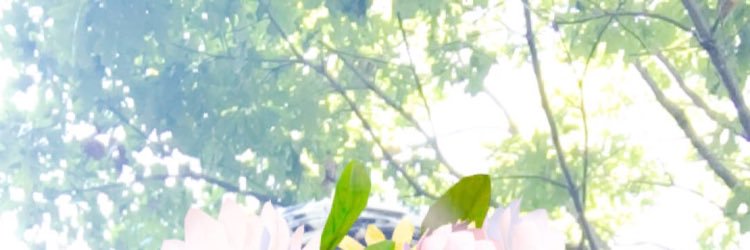 dimasakka's profile banner image