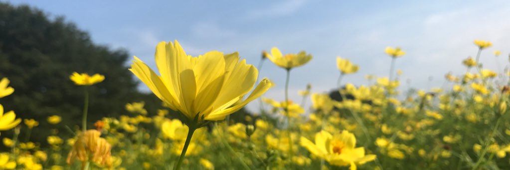 hih_1160's profile banner image