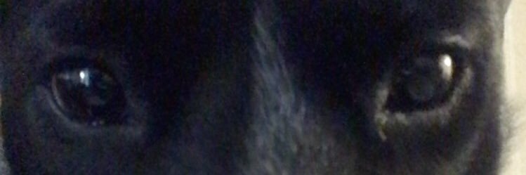 CheyannDuran's profile banner image