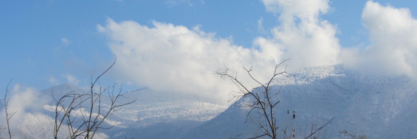 Kosarskh's profile banner image