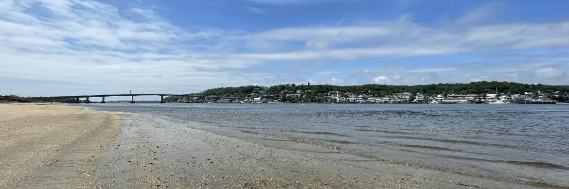 Pedro banner