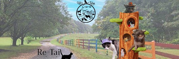rikkisrefuge Profile Banner