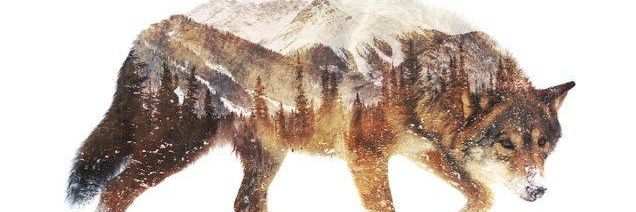 Quietly Recharging banner