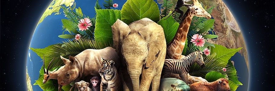 Mónica García banner